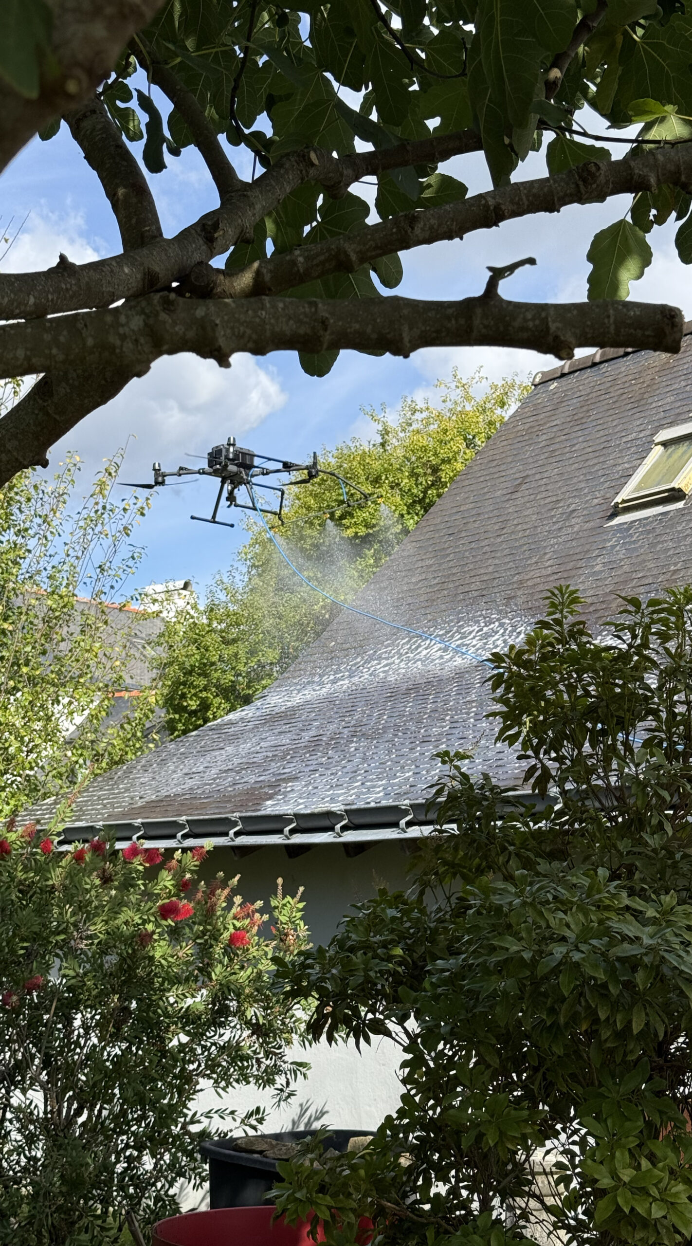 démoussage toit bretagne